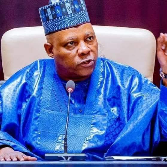 Shettima Bars Well-wishers from Public Congratulatory Messages, Advert Placements on 60th Birthday