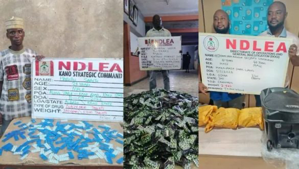 NDLEA Seizes UK-bound Cannabis, Drugs Hidden in Bread, Speakers