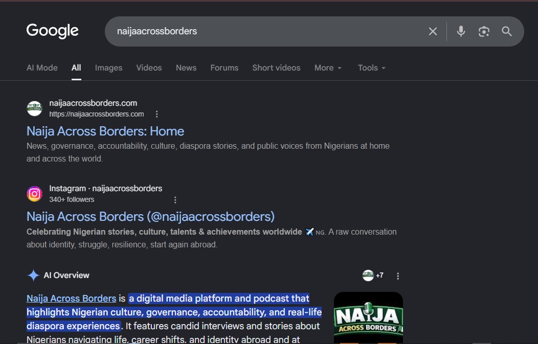 Naija Across Borders digital platform
